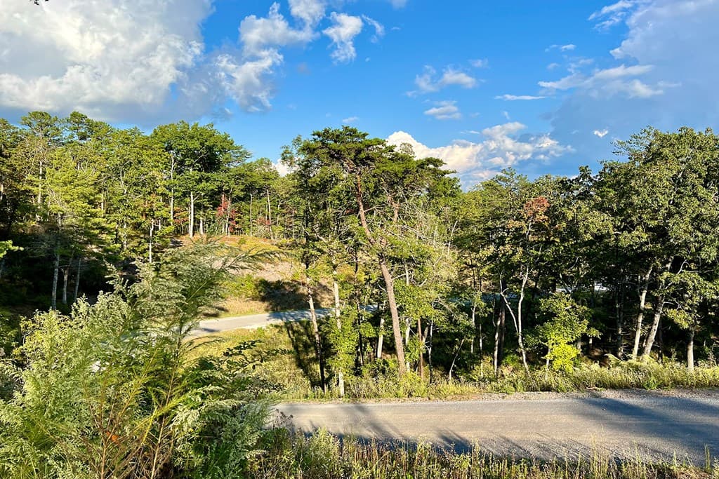 Lot 17 Mountain Laurel Ridge, Mineral Bluff GA 30559 - Photo