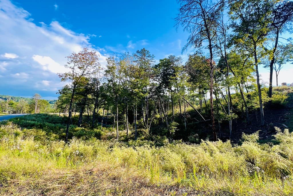 Lot 17 Mountain Laurel Ridge, Mineral Bluff GA 30559 - Photo