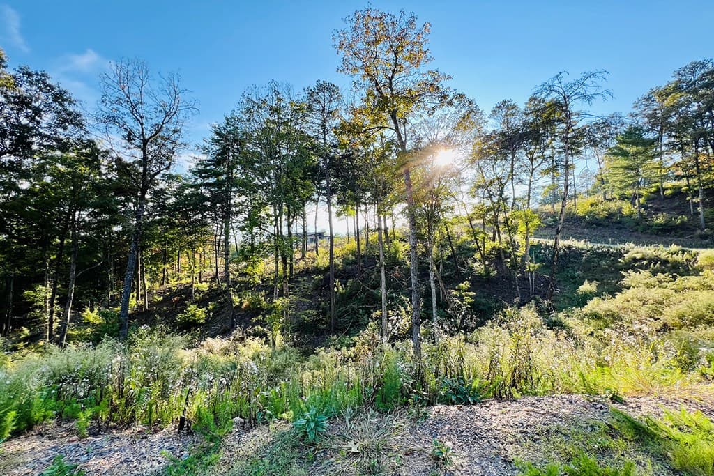 Lot 17 Mountain Laurel Ridge, Mineral Bluff GA 30559 - Photo