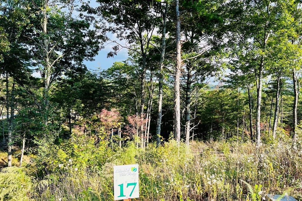 Lot 17 Mountain Laurel Ridge, Mineral Bluff GA 30559 - Photo
