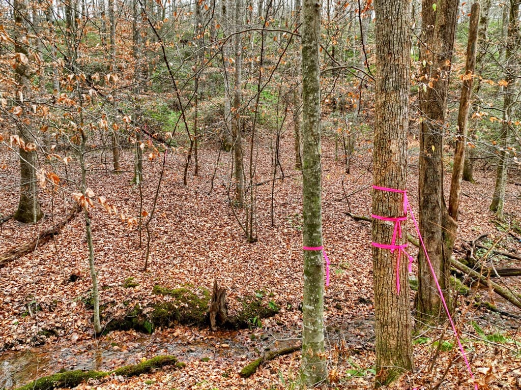 00 Spruill Drive, Ellijay GA 30536 - Photo