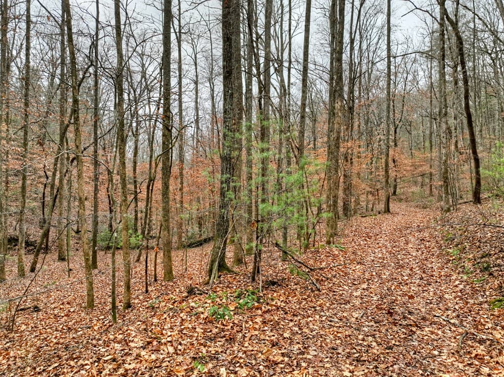 00 Spruill Drive, Ellijay GA 30536 - Photo