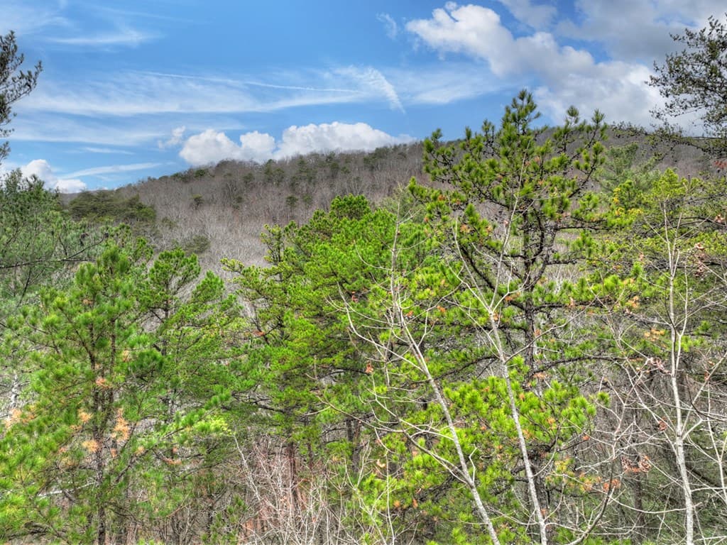 00 Spruill Drive, Ellijay GA 30536 - Photo