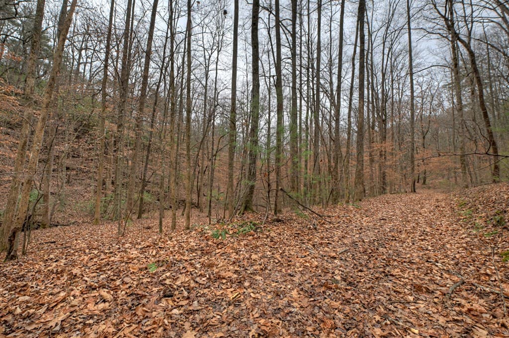 00 Spruill Drive, Ellijay GA 30536 - Photo