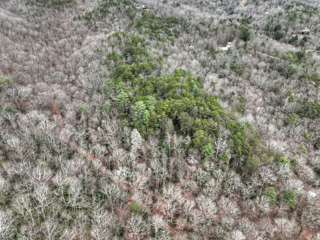 00 Spruill Drive, Ellijay GA 30536 - Photo