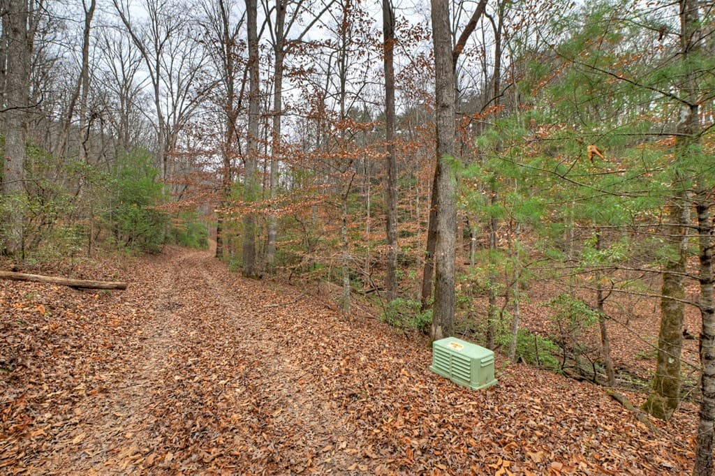 00 Spruill Drive, Ellijay GA 30536 - Photo