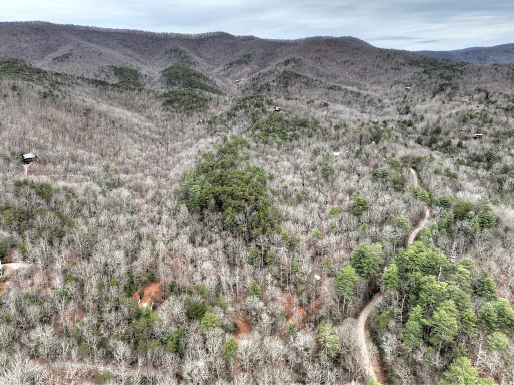 00 Spruill Drive, Ellijay GA 30536 - Photo