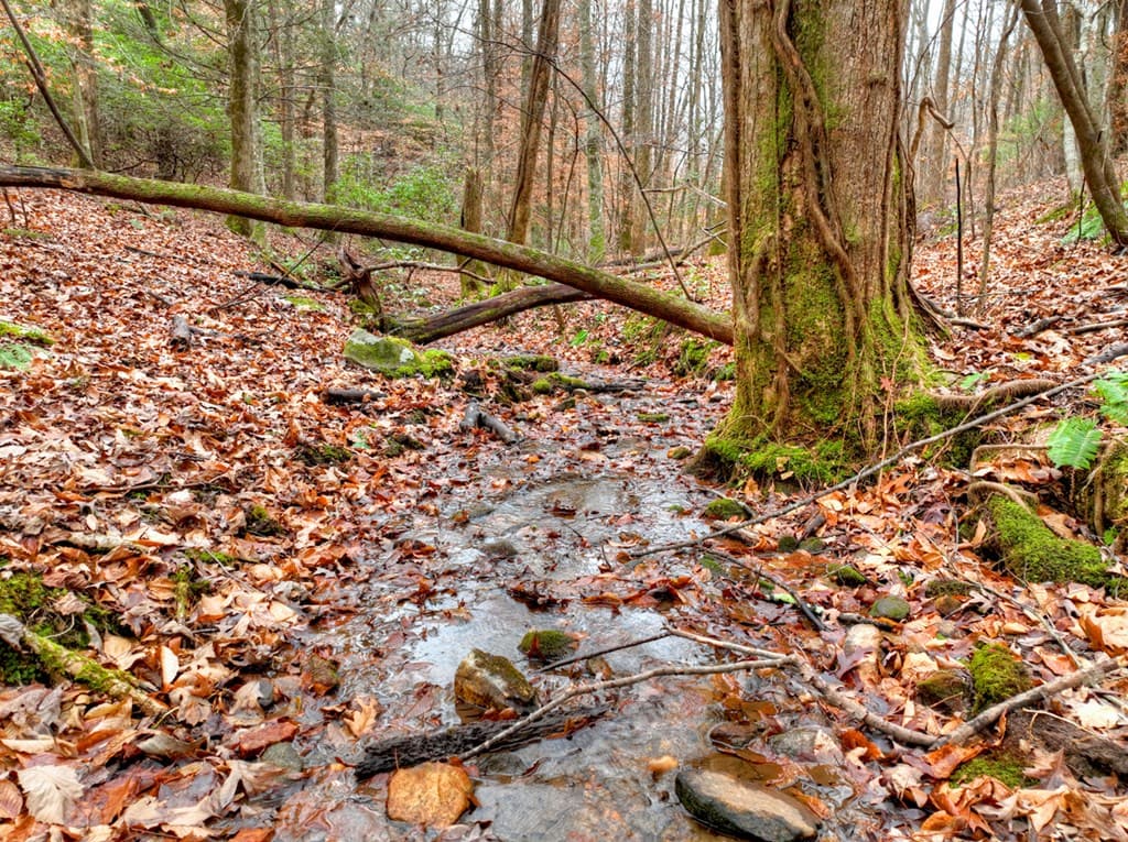 00 Spruill Drive, Ellijay GA 30536 - Photo