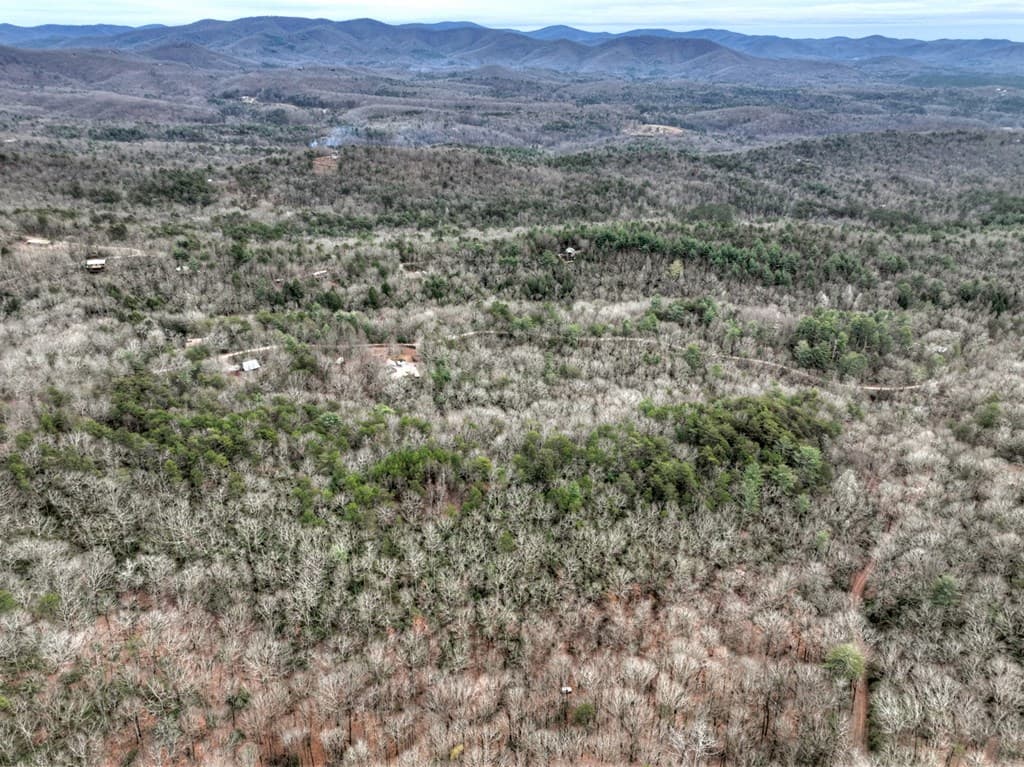 00 Spruill Drive, Ellijay GA 30536 - Photo