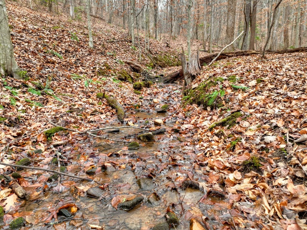 00 Spruill Drive, Ellijay GA 30536 - Photo