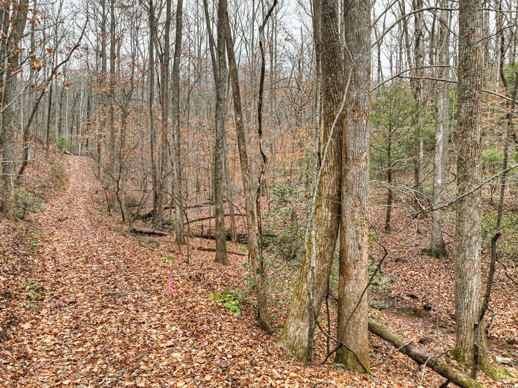 00 Spruill Drive, Ellijay GA 30536 - Photo