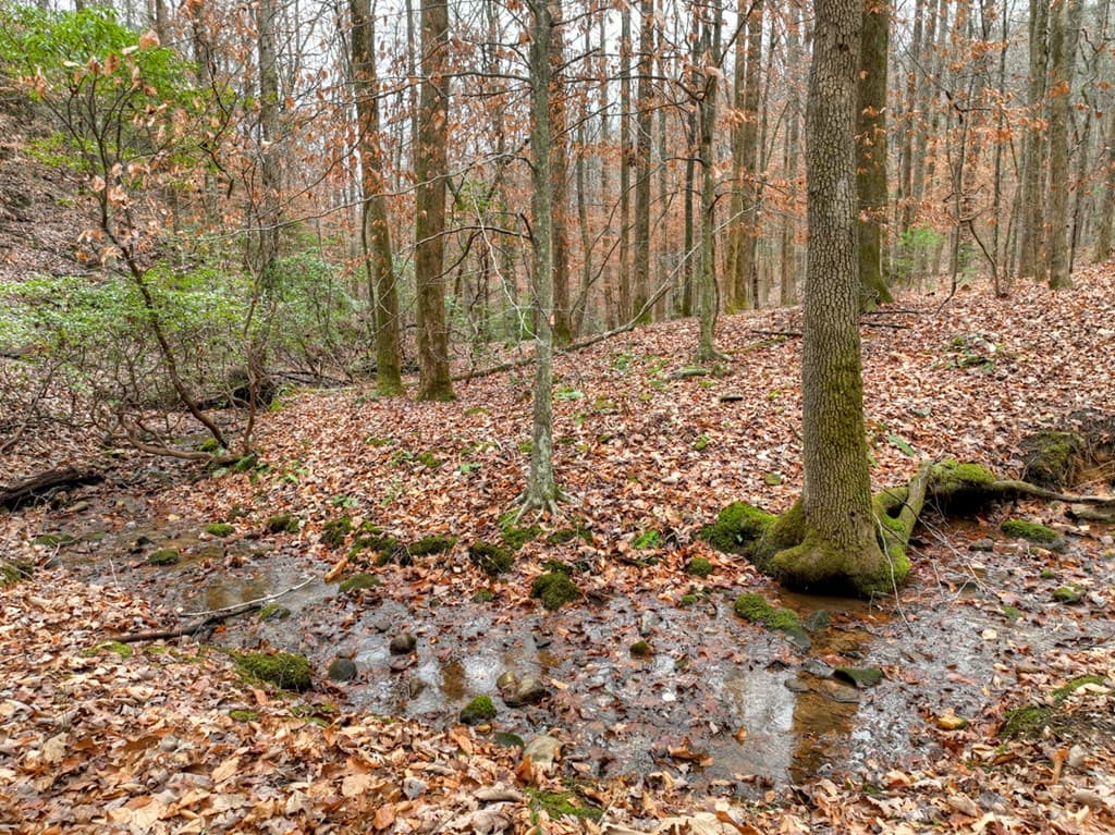 00 Spruill Drive, Ellijay GA 30536 - Photo