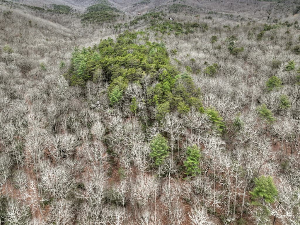 00 Spruill Drive, Ellijay GA 30536 - Photo
