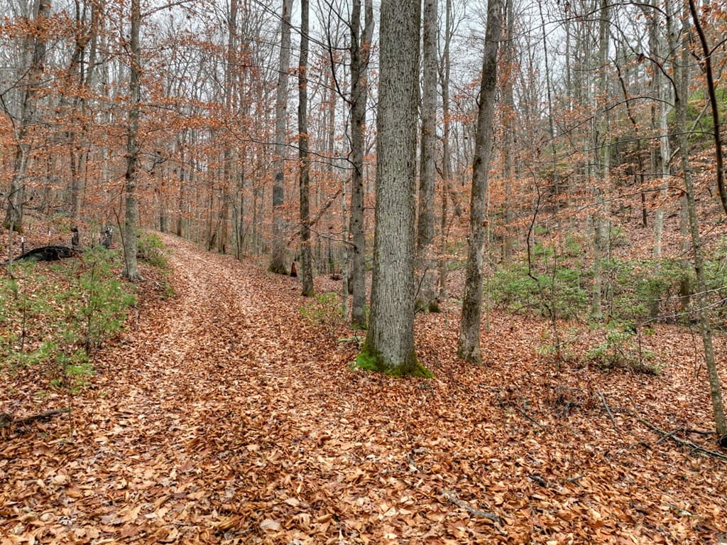 00 Spruill Drive, Ellijay GA 30536 - Photo
