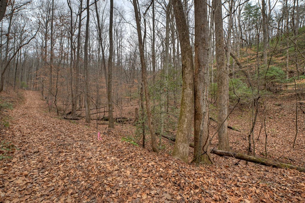 00 Spruill Drive, Ellijay GA 30536 - Photo