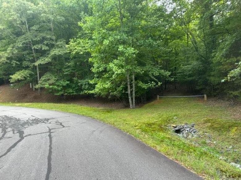 2 Thunder Road, Hayesville NC 28904 - Photo