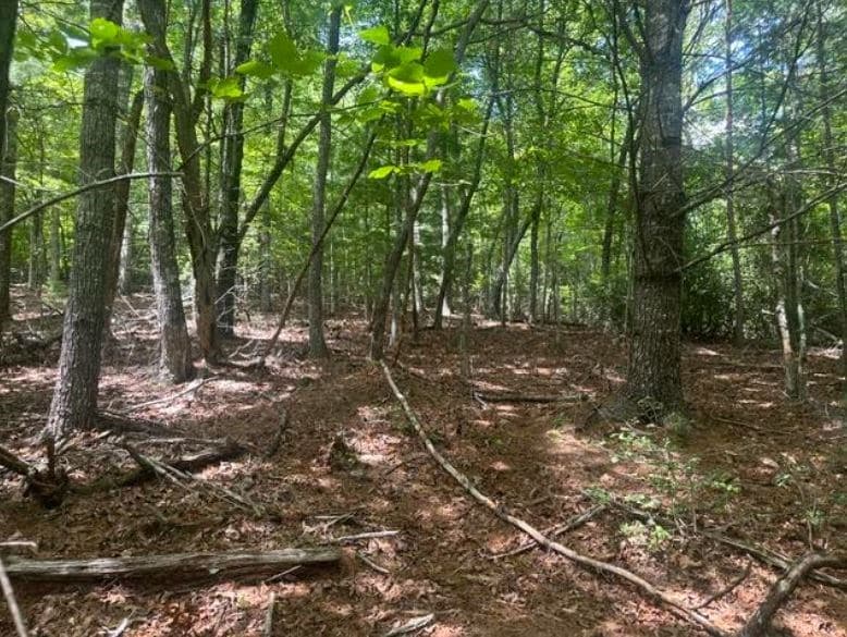 2 Thunder Road, Hayesville NC 28904 - Photo