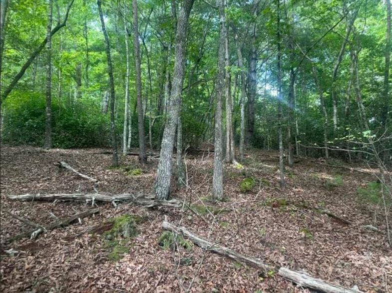 2 Thunder Road, Hayesville NC 28904 - Photo