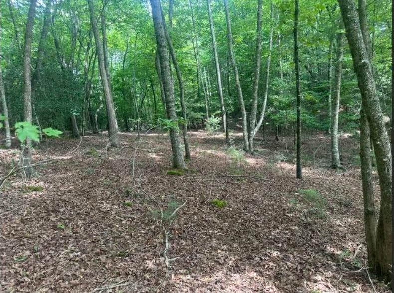 2 Thunder Road, Hayesville NC 28904 - Primary photo