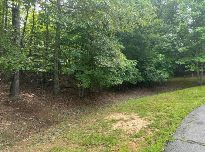 2 Thunder Road, Hayesville NC 28904 - Photo