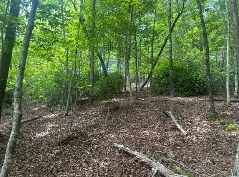2 Thunder Road, Hayesville NC 28904 - Photo
