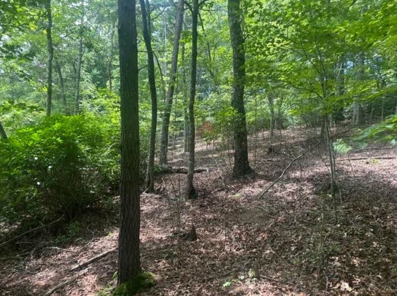 2 Thunder Road, Hayesville NC 28904 - Photo