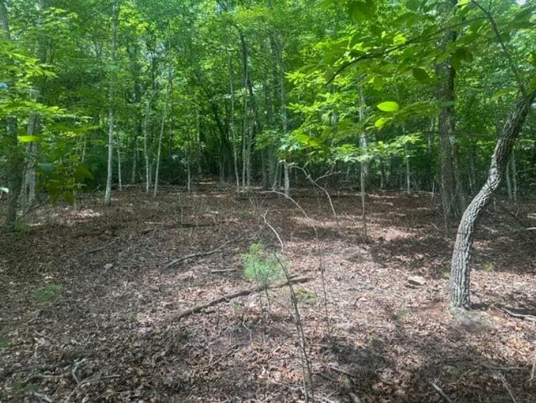2 Thunder Road, Hayesville NC 28904 - Photo