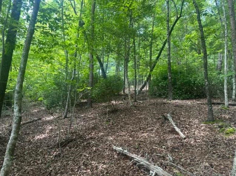 2 Thunder Road, Hayesville NC 28904 - Photo