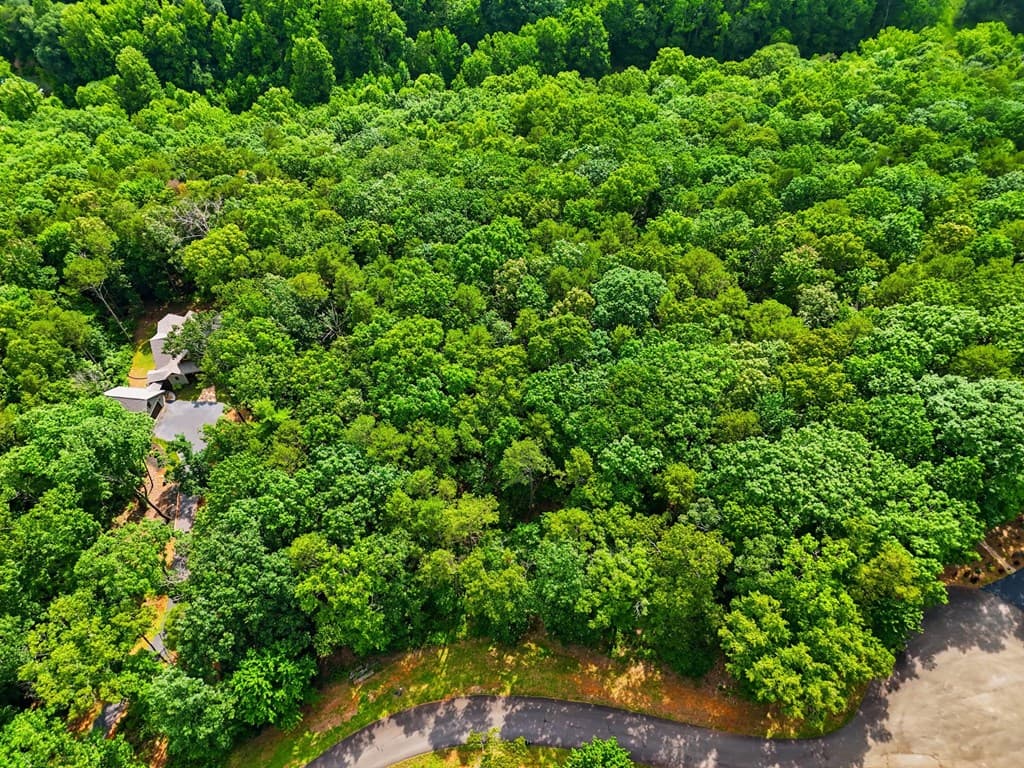 Lot 11 Weeks Drive, Ellijay GA 30540 - Photo