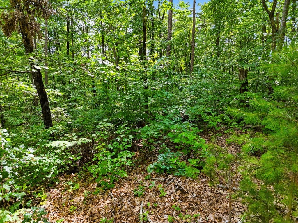 Lot 11 Weeks Drive, Ellijay GA 30540 - Photo