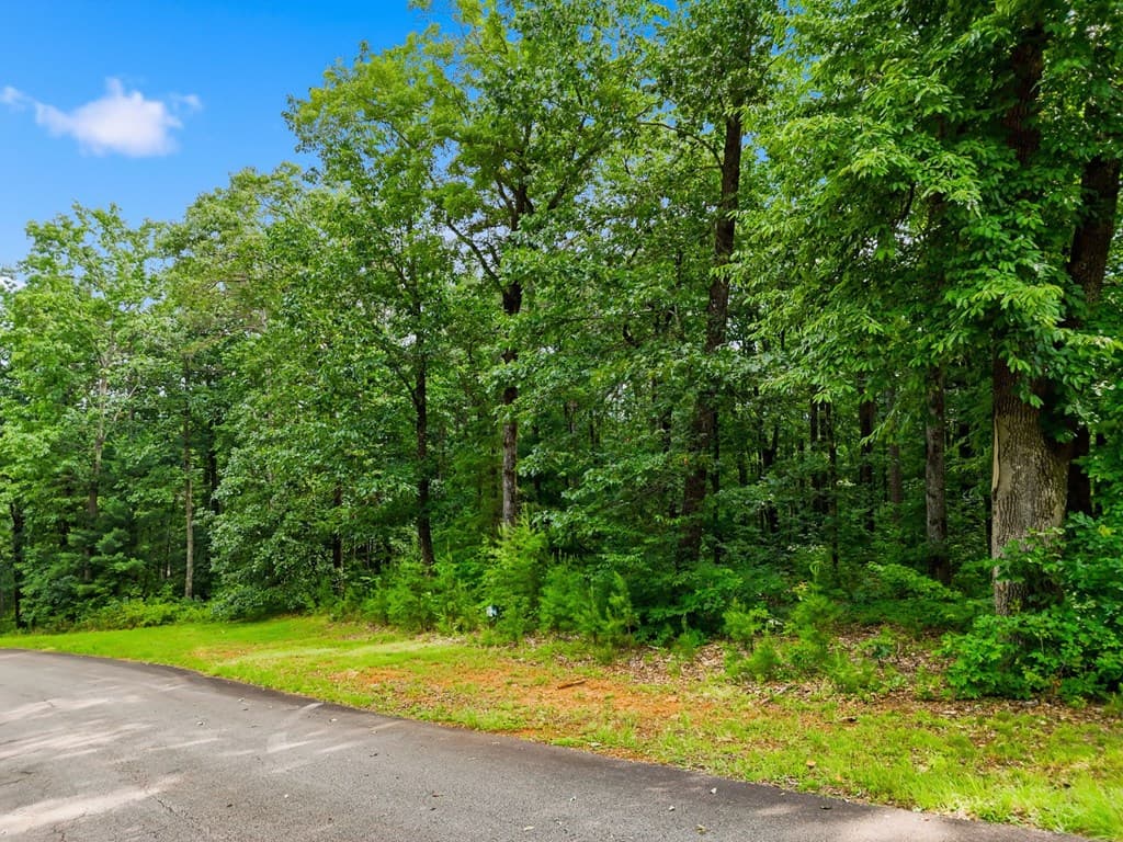 Lot 11 Weeks Drive, Ellijay GA 30540 - Photo