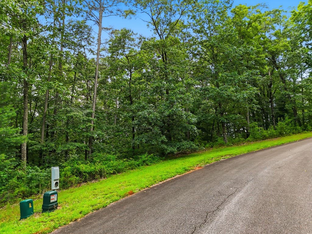 Lot 11 Weeks Drive, Ellijay GA 30540 - Photo