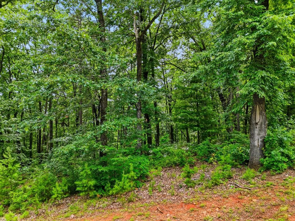 Lot 11 Weeks Drive, Ellijay GA 30540 - Primary photo