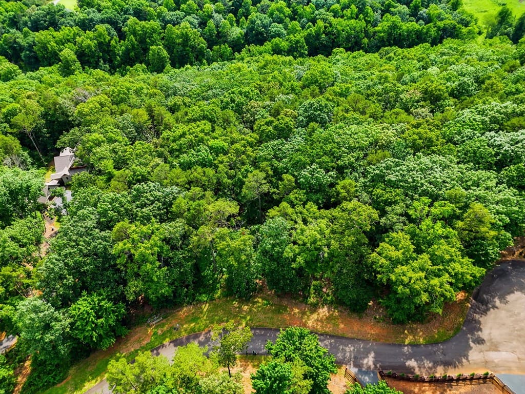Lot 11 Weeks Drive, Ellijay GA 30540 - Photo