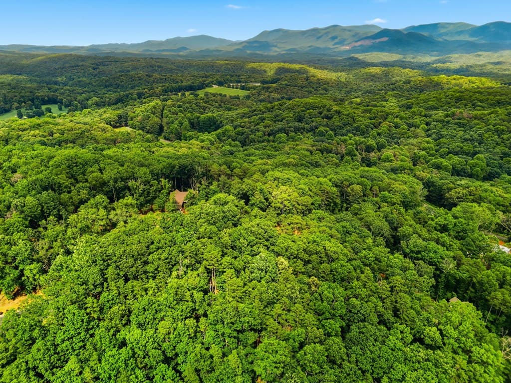 Lot 11 Weeks Drive, Ellijay GA 30540 - Photo