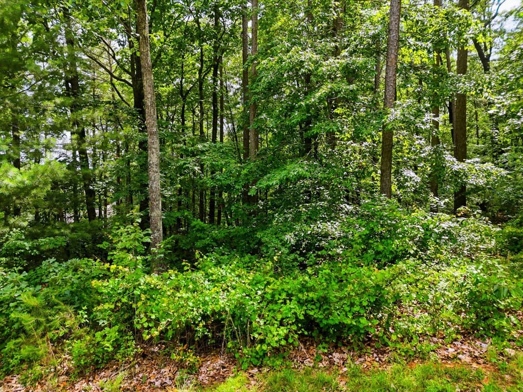 Lot 11 Weeks Drive, Ellijay GA 30540 - Photo