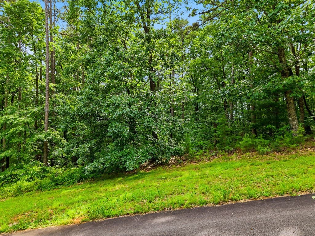 Lot 11 Weeks Drive, Ellijay GA 30540 - Photo