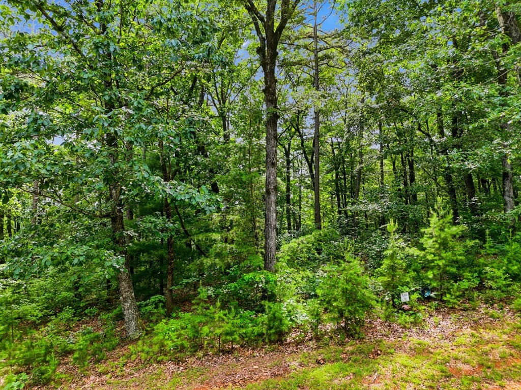 Lot 11 Weeks Drive, Ellijay GA 30540 - Photo