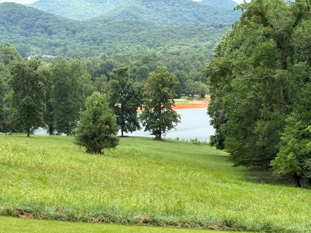 LOT 3 Viewpoint Lane, Blairsville GA 30512 - Primary photo