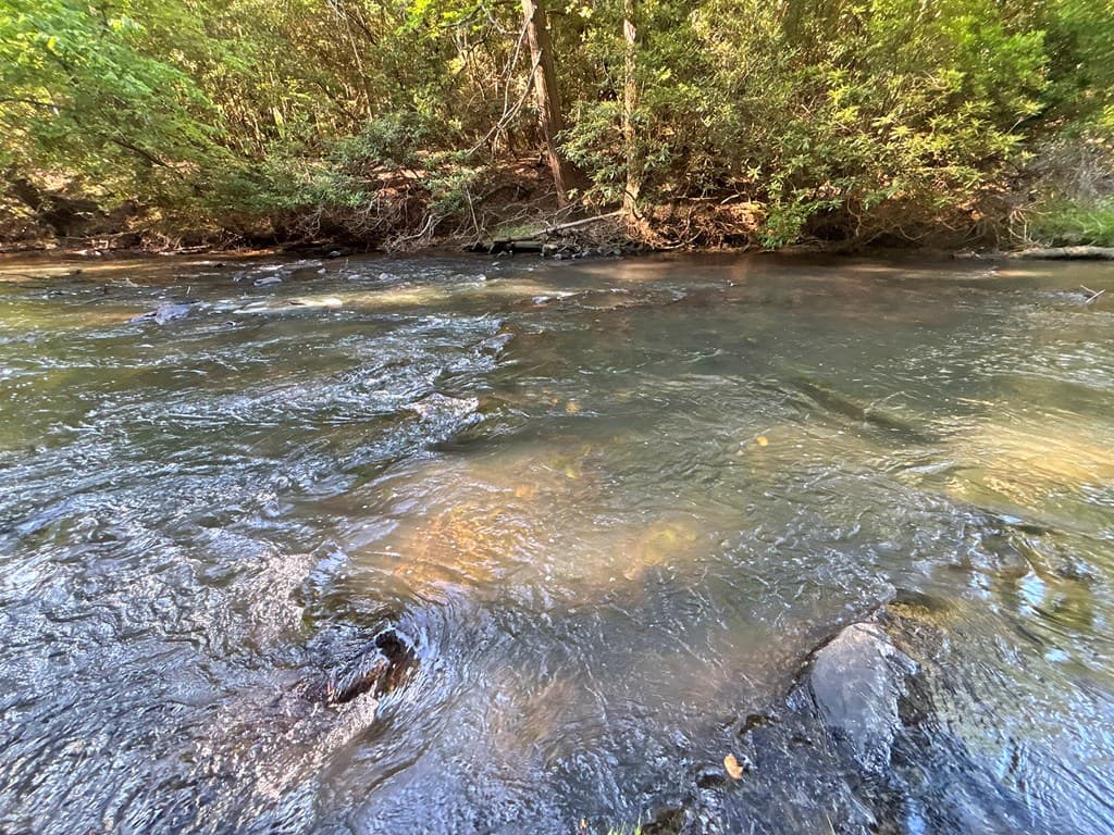 190 S Whitepath Circle S, Ellijay GA 30540 - Photo