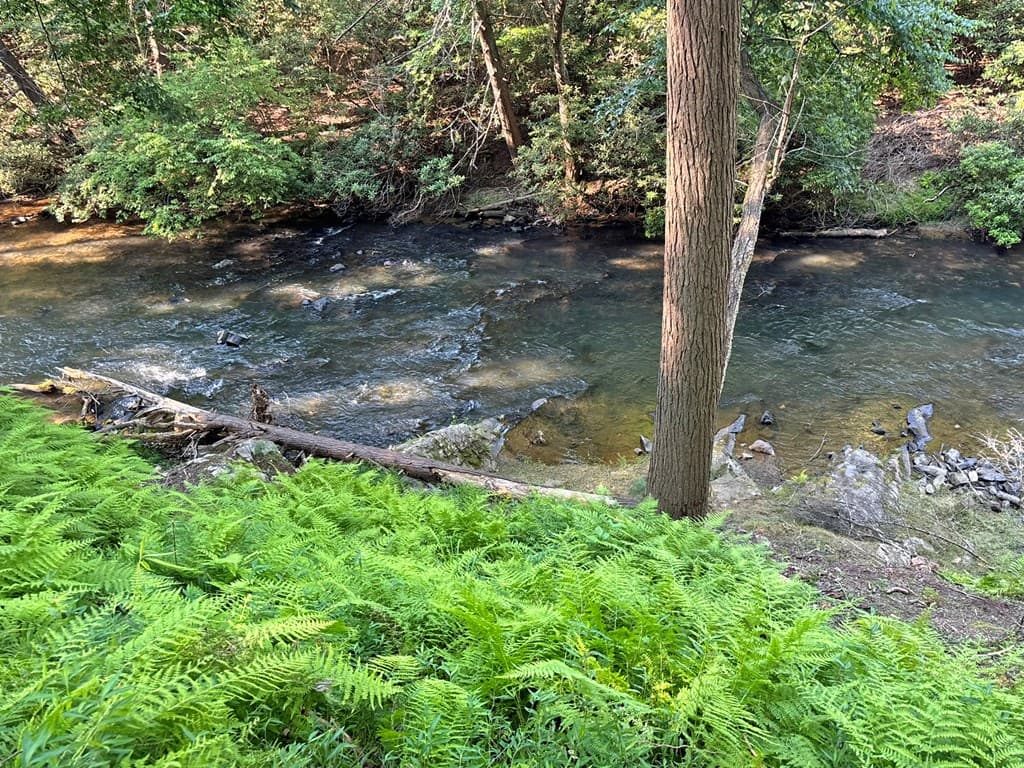 190 S Whitepath Circle S, Ellijay GA 30540 - Photo