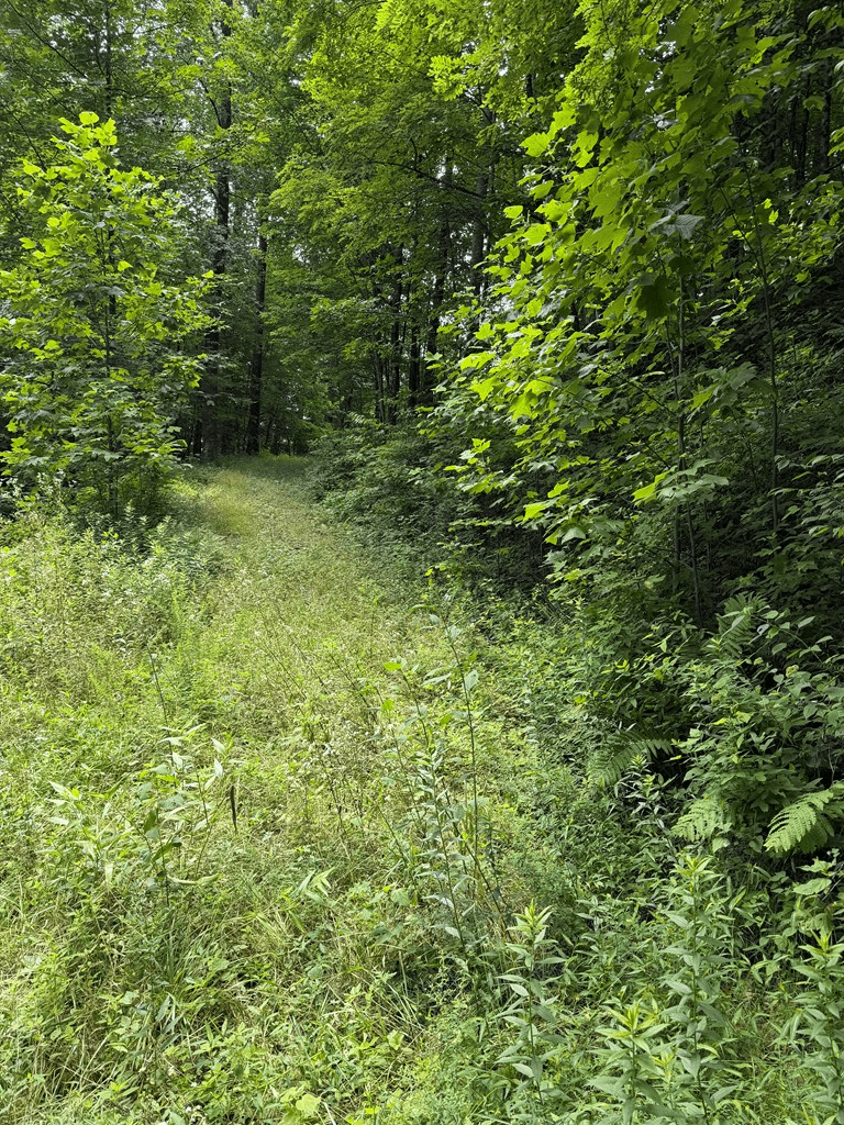 0 Outlook Road, Murphy NC 28906 - Photo