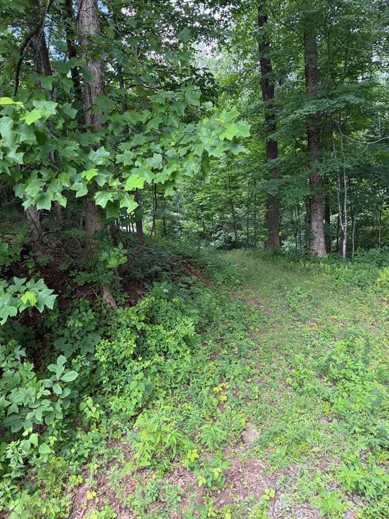 0 Outlook Road, Murphy NC 28906 - Photo