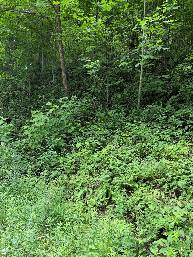 0 Outlook Road, Murphy NC 28906 - Photo