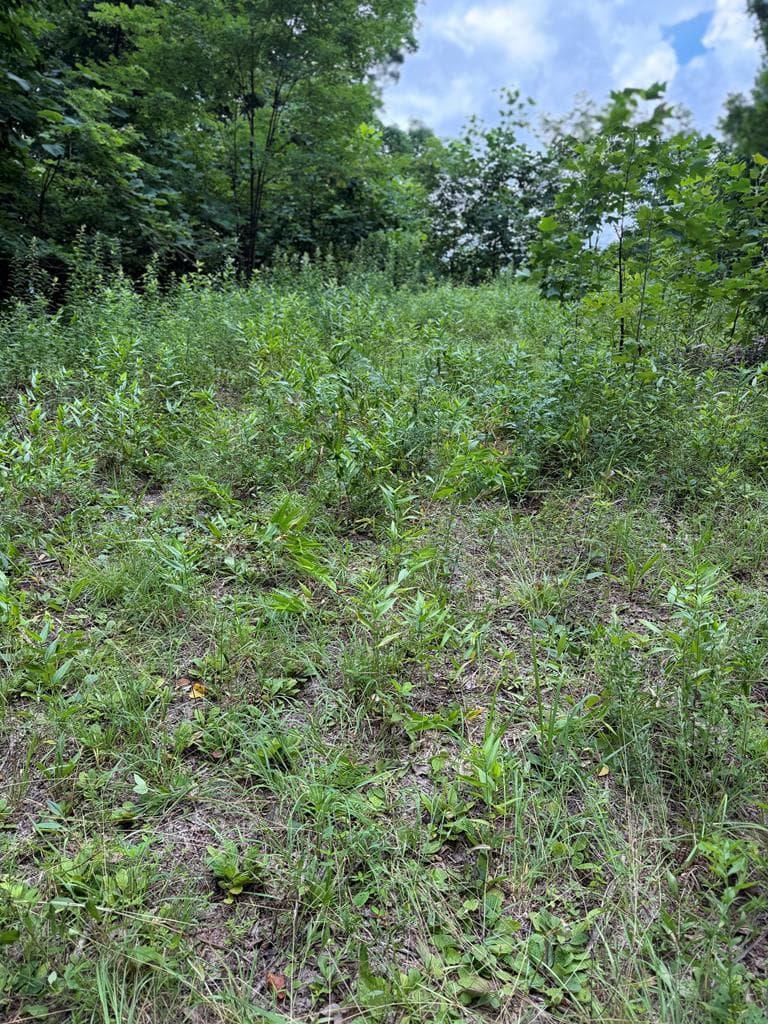 0 Outlook Road, Murphy NC 28906 - Primary photo