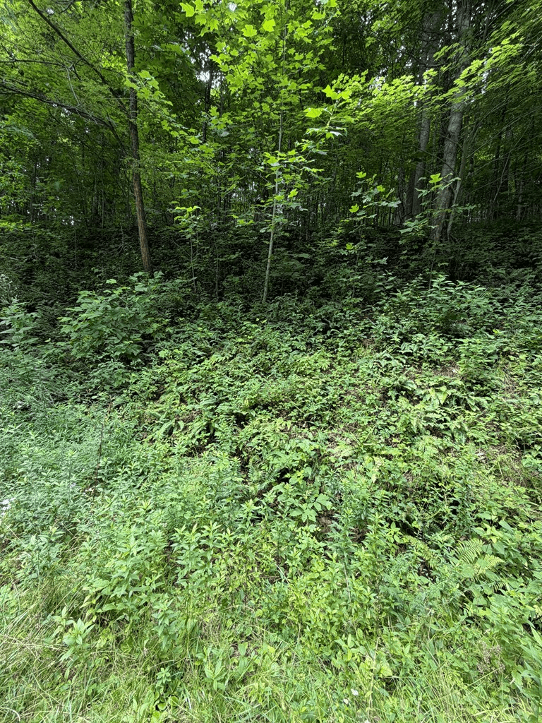 0 Outlook Road, Murphy NC 28906 - Photo