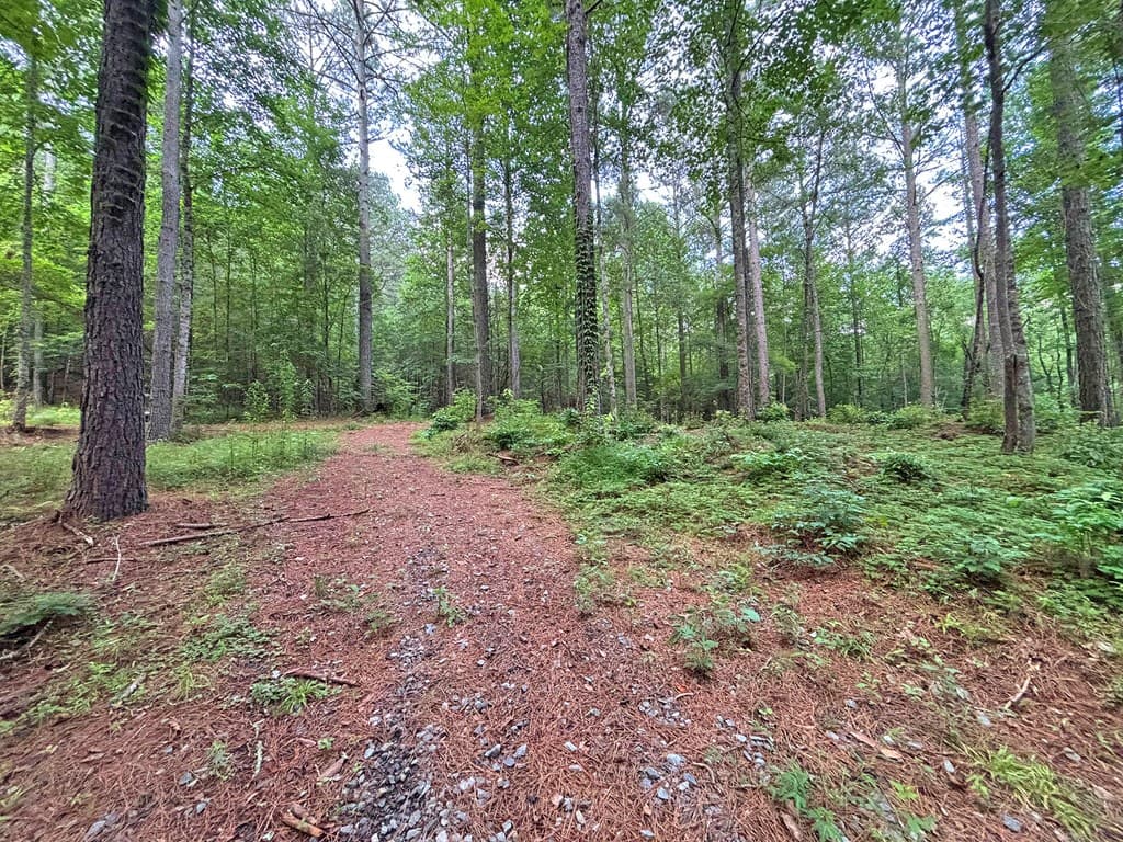 20AC Yonder Way, Talking Rock GA 30175 - Photo