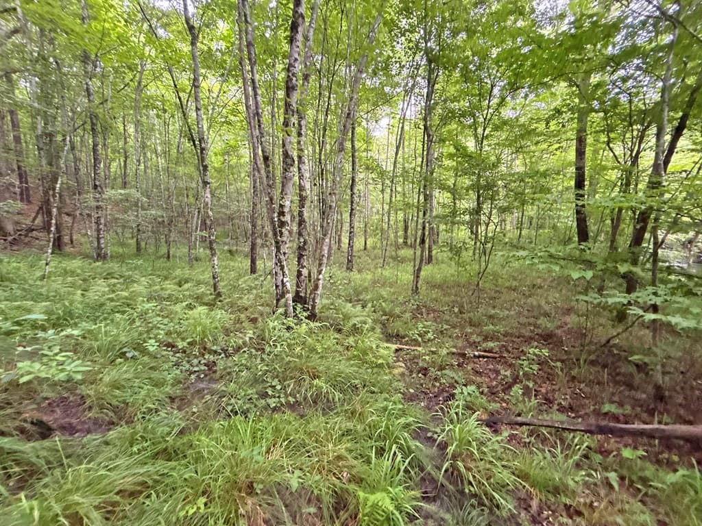 20AC Yonder Way, Talking Rock GA 30175 - Photo