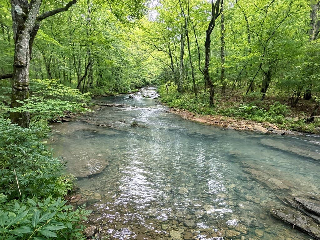 20AC Yonder Way, Talking Rock GA 30175 - Photo