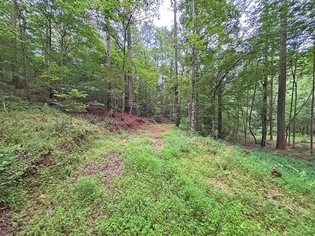 20AC Yonder Way, Talking Rock GA 30175 - Photo